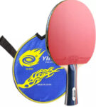 table-tennis2